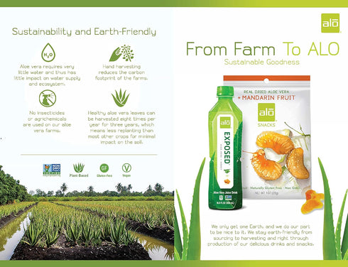 16.9 oz, Pack 12 ALO Aloe Vera Juice Drink | BLUSH - Aloe Vera + Strawberry | fl of | Plant-Based Drink with Real Aloe