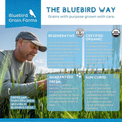 1 Lb. Bluebird Grain Farms Organic Whole Grain Einkorn