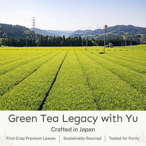 30 Packets Yu Tea Decaf Organic Sencha Green Tea Powder, Instant | Rich in Antioxidants, EGCG, & L-Theanine | Pure
