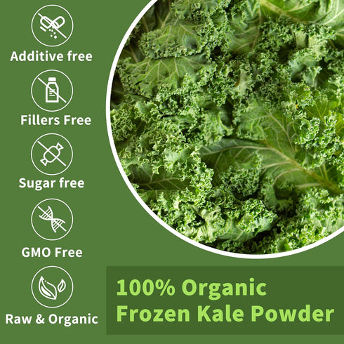 Hudetex Immune 8oz Kale Powder Organic - Green Juice Powder for Kale DrinkSupports System & Digestive Function,Keep