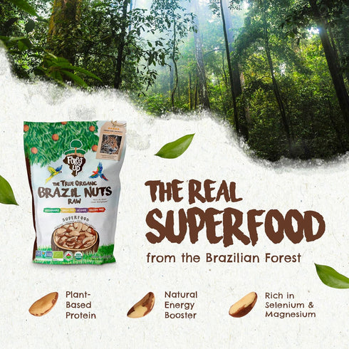 32 oz-2lbs Snack The True Organic Brazil Nuts Medium Size Raw and Unsalted Kosher Healthy-Rich in Vegetable Protein