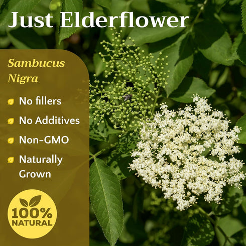 2 lb (32 oz) Dried Elderflower Tea - Natural Elder Flowers Herbs Loose Leaf - Wildcrafted Elder Flower Herb Cut