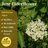 2 lb (32 oz) Dried Elderflower Tea - Natural Elder Flowers Herbs Loose Leaf - Wildcrafted Elder Flower Herb Cut