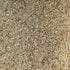 PowerGrow Systems (1 Rice Hulls Gallon) - All Natural Parboiled Rice Hulls by PowerGrow