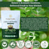 100g (3.53oz) Exotic Veda Curry Leaf Powder Kadi Patta (Murraya koenigii) | Vegan, NonGMO, AdditiveFree Indian Spice |