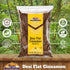 Rani Desi (Dalchini) Flat Cinnamon 3.5oz (100g) ~ All Natural | Vegan | Gluten Friendly | Non-GMO | Indian Origin