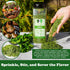 3 Oz, NPG Freeze-Dried Parsley Flakes Dehydrated Chopped Parsley for Cooking, Soups, Pasta, and Garnish, Aromatic Herb