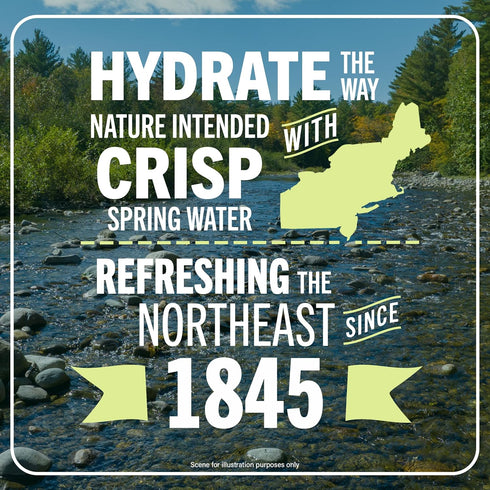 24 Pack 16.9 Oz Poland Spring Maine Spring Water Bottles, Crisp, Still Bottled Water with Naturally Balanced Occurring