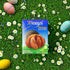 5.11oz (Pack 3) Terry's Milk Chocolate Orange Easter Ball