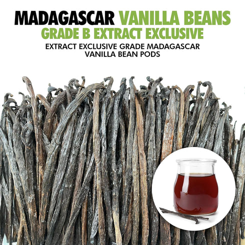 55 4" 5" Organic Madagascar Vanilla Extract Exclusive Grade B Beans| - by FITNCLEAN VANILLA| Certified USDA Organic.