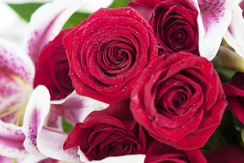 KaBloom Mixed Bouquet - Red Roses & Pink Lilies for Special Occasions