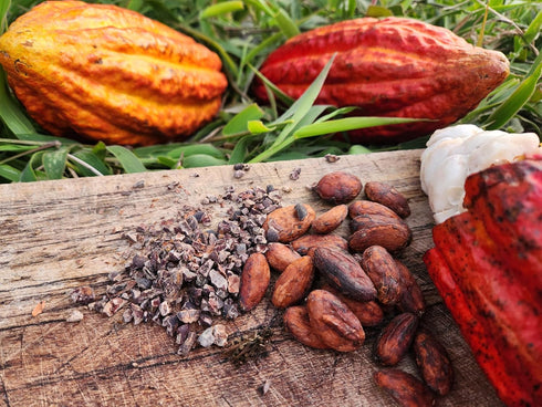 Colombian Cacao 100% Raw Cacao Beans Unroasted Pure Colombian Whole Cacao Beans Natural Superfood Rich in Antioxidants