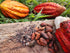 Colombian Cacao 100% Raw Cacao Beans Unroasted Pure Colombian Whole Cacao Beans Natural Superfood Rich in Antioxidants