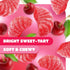 2 Pack Cherry Slices Jelly Candy - Pound Bulk - Nostalgic Candy for Office Bowls and Holiday Buffets - Gelatin Free