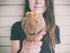 10.5 oz [3 PASOKIN | Peanut Butter Crumbs | Gluten Free, Vegan, All Natural Peanut Butter Topping, Made in USA, Jar