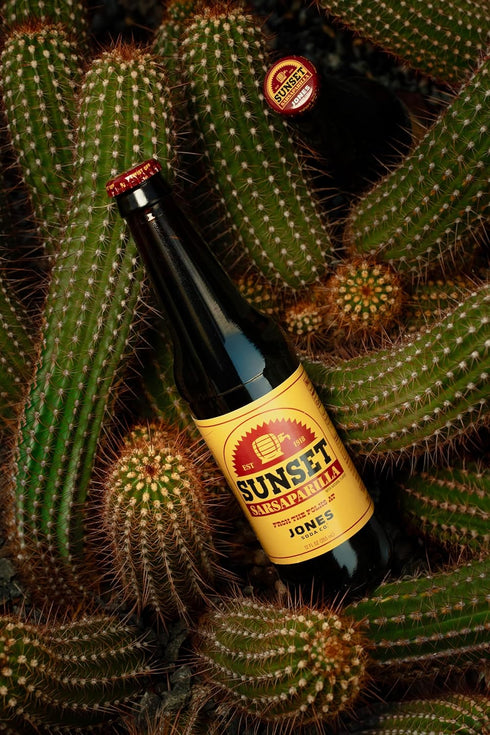 Sunset 12oz 2 Pack Fallout Sarsaparilla Jones Soda |