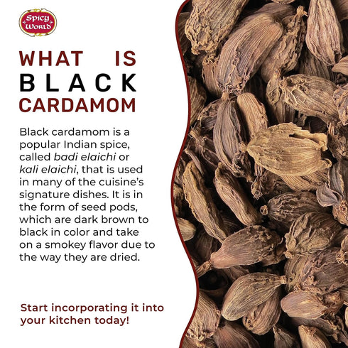 Whole Kali Elaichi Indian Spice by Spicy World, Black Cardamom Pods 3.5 Oz Bag (100gm)