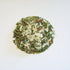 Delectable Addictions Scrumptious Spinach Dip Mix