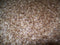 Whole Oat Groats: Raw Hulless Oats, Farmer Direct 15 lbs. (Clear Poly
