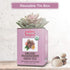 50 Brew La La Organic Green Tea - Passionfruit Flavor - Tea Bag Tin - Low Caffeine - USDA Certified Organic