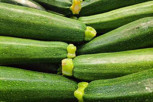 RawJoy Organic Fresh Zucchini Squash by Farms