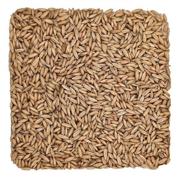 Home Brew Ohio Malted Oats Grain 5lb