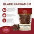 Whole Kali Elaichi Indian Spice by Spicy World, Black Cardamom Pods 3.5 Oz Bag (100gm)