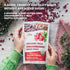 100% 4oz (34 Organic Whole Lingonberries Freeze-Dried Wild Nordic Superberry, Traditional ScandinavianSwedish Food