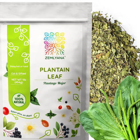 Dried Plantain Leaf Herb for Tea - Plantago Major Leaves - Hojas