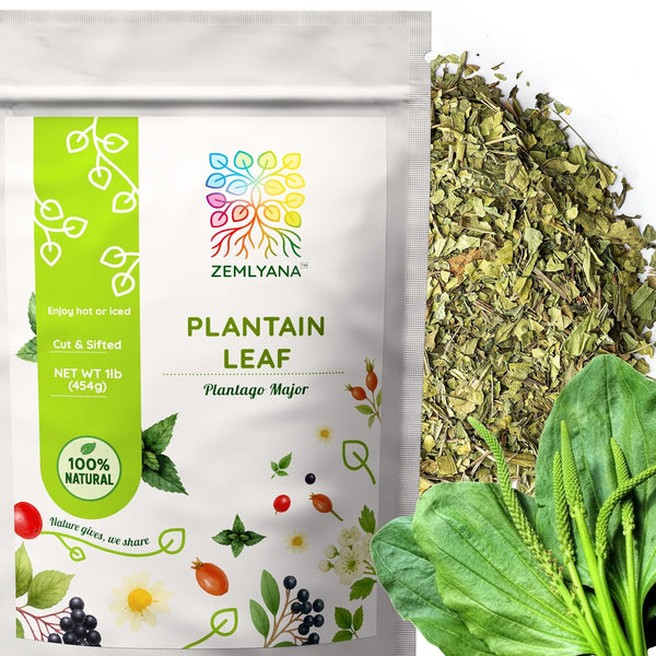 Dried Plantain Leaf Herb for Tea - Plantago Major Leaves - Hojas