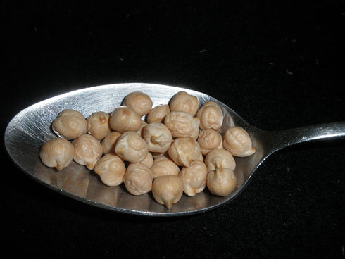 Mulberry Lane Farms 5 hummus, Garbanzo Beans, Pounds (Chick Peas), USDA Certified Organic, Dried, Non-GMO, Great
