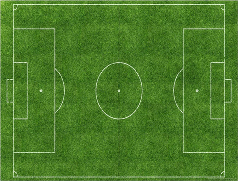 Soccer Field Edible Cake Topper - 1/4 Sheet