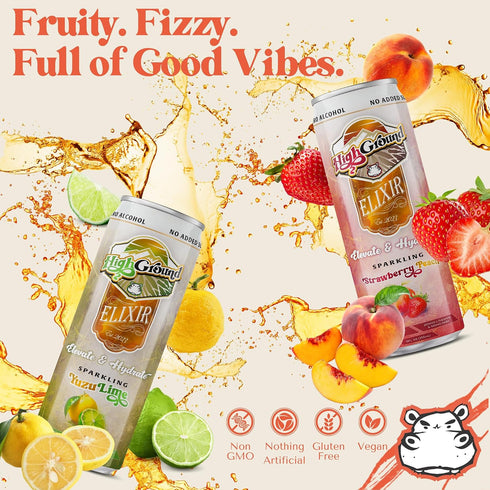 12oz 6 Pack High Ground Elixir Mushroom Seltzer Strawberry Peach | Lions Mane for Focus, Reishi for Stress, Cordyceps