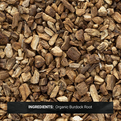 1-Pound Common (Packaging Frontier Organic Burdock Root, Bulk Bag, in Root Beer Recipes, Cut & Sifted, Sustainable