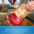15.1 (Pack 4) Quaker Instant Oatmeal, Apples & Cinnamon, Breakfast Cereal, Ounce