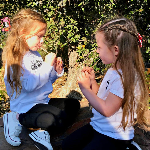 Packets Flavored Honey Sticks - Farm Fresh US Honey for Tea, Travel, Kids - Variety Flavors