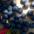 Kuze Fuku & Sons Set 2 (11 oz 2) Blueberry Jam - of x - Product of the USA