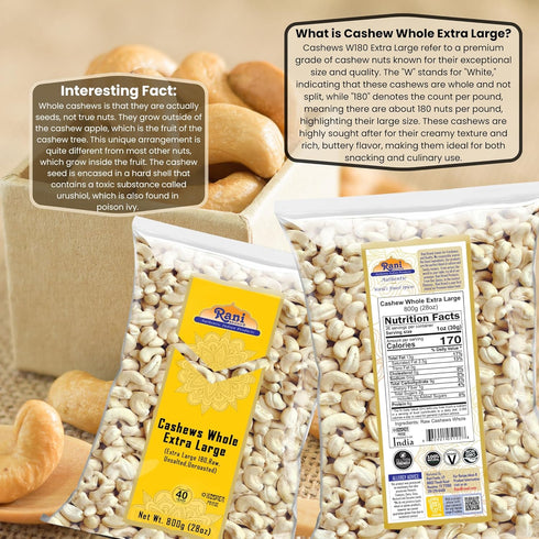 W180 28oz (800g) Rani Raw Cashews Whole Extra Large (uncooked, unsalted) ~ All Natural, No Preservatives | Vegan |
