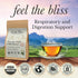 Immune 5.29 60 Wild Bliss Organic Elderflower Tea and Respiratory Support - Caffeine Free Loose Leaf Elder Flowers