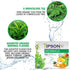 Tipson Organic Moringa Variety Sampler, 6 Flavors (60 Tea Bags), Herbal Tea Infusions, USDA Organic, Non-GMO, Gluten