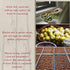 Airsun (228g/8.04oz) Sweet and salty dried plums in an airtight jar | Snack | Candied dried plums | A traditional Asian