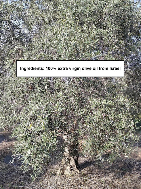 30.4 Oz HOLIVE Olive Oil from Israel | Extra Virgin | First Cold Press & Early Harvest | Polyphenol Rich | Premium Low