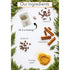 Olde Tradition Mulling Spices in Tea Bags for Apple Cider, Mulled Wine, Gluehwein, Hot Toddy Holiday Drink - Sugar-Free