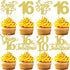 30 16th 16 2010 16 16th PCS Happy Birthday Cupcake Toppers Sweet Fabulous Sixteen Since Cupcake Picks Cheers to Years