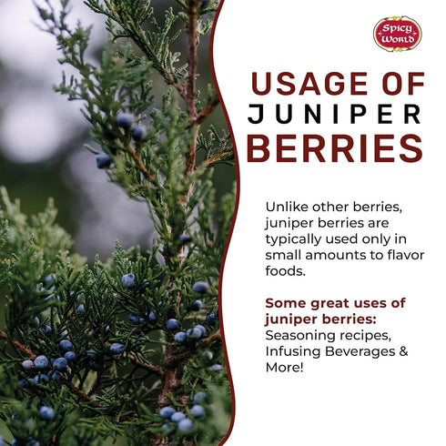 Spicy World 14 Juniper Berries Whole Ounce Bag- Pure - Great for Cooking, Drinks, Tea & More!