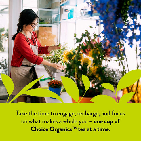(6 Pack) 96 Choice Organics - Organic Jasmine Green Tea - Green Tea Scented with Jasmine Blossoms - Fair Trade
