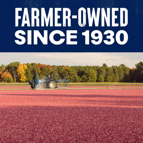 6 Oz Ocean Spray Craisins Original Dried Cranberries, Dried Fruit, Pouch