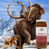 KC Natural Traditional Style Tomato Free Pasta Sauce, 1-pack, 280mg Sodium