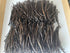 2oz Madagascar Organic Vanilla Beans Extract, Exclusive Grade B, Certified USDA Organic by FITNCLEAN VANILLA