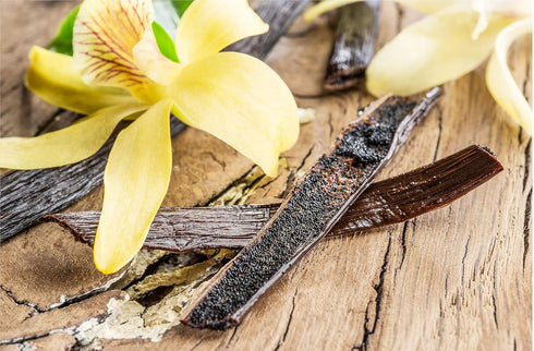 10 Whole Vanilla Beans - Gourmet Grade A Pods for Baking, Homemade Extract, Brewing, Coffee, Cooking - Tahitian